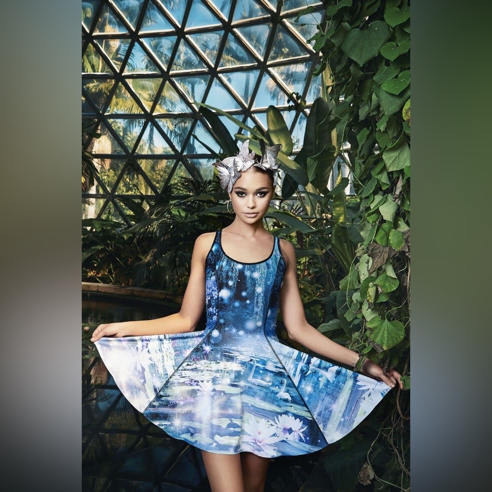 Blackmilk Biologica vs Magic Lake Inside Out Dress
